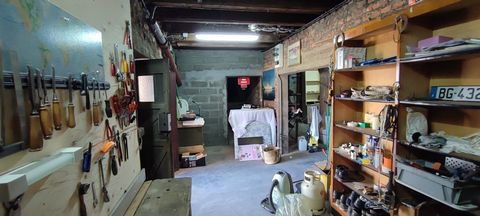 photo no. 15