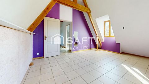photo no. 8