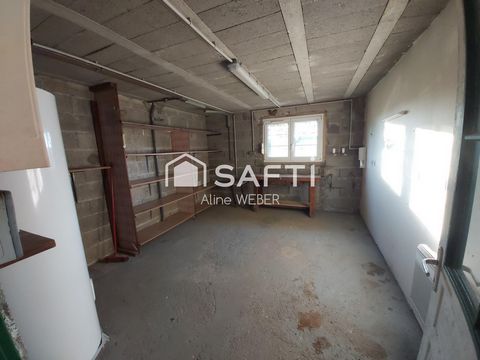 photo no. 13