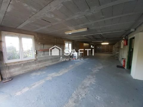 photo no. 14
