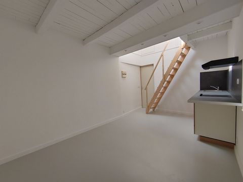 photo no. 25