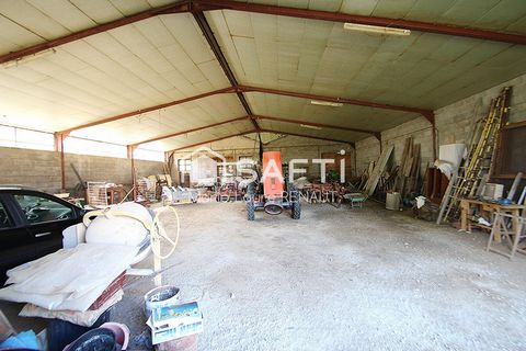 photo no. 12