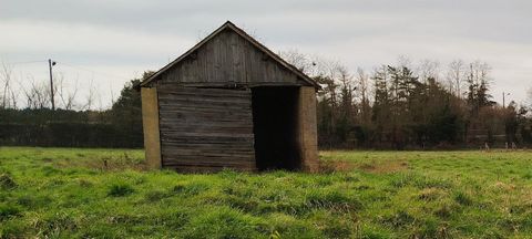 photo no. 1