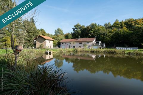 Très grande maison de famille, avec immense terrain de 8720 m2, étang poisonneux, verger, dépendances