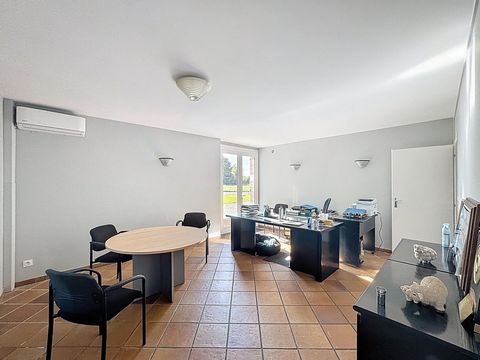 photo no. 10