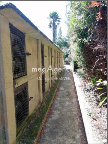 photo no. 14