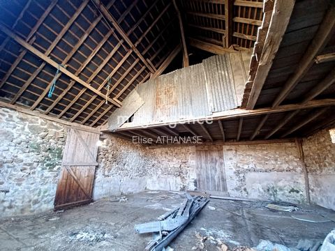 photo no. 14