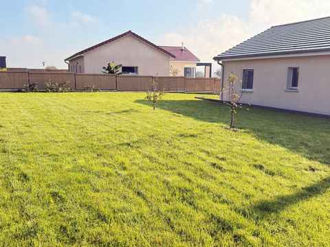 photo no. 2