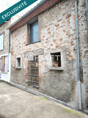 photo no. 6