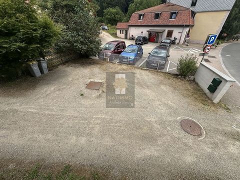 photo no. 10
