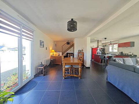 photo no. 4