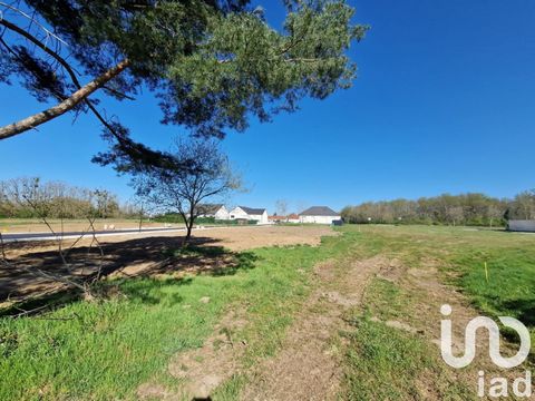 iad France - Ali Kucuk vous propose: NOUVEAU ! TERRAIN EXCEPTIONNEL À SAISIR À BRIARE ! Opportunité rare de 600m² pour votre projet immobilier ! - Emplacement idéal pour concrétiser vos rêves de construction. - Terrain viabilisé - Libre constructeur ...