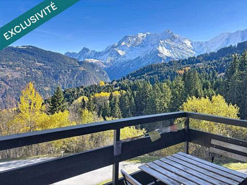 Studio au Bettex vue Mt Blanc