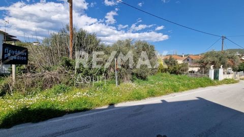 Property Code. 23402-8983 - Plot FOR SALE in Pteleos Pigadi for € 29.000 . Discover the features of this 325 sq. m. Plot: Distance from sea 200 meters, Building Coefficient: 1.00 Coverage Coefficient: 60.00 facade length: 10 meters, depth: 32 meters