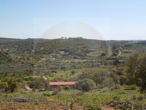 Ausgezeichnetes Grundstück, nur 2 Minuten vom Dorf Barão de São Miguel entfernt, mit einer Gesamtfläche von 14.840m². Das Grundstück hat eine leichte Hanglage mit schönem Blick auf das Tal in einer ruhigen Gegend mit einfachem Zugang. Das Land ist fr...