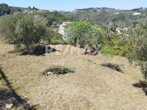 Property Code. 22813-9101 - Agricultural FOR SALE in Alonnisos Patitiri for €150.000 Exclusivity. Discover the features of this 1000 sq. m. Agricultural: Distance from sea 1000 meters, Distance from the city center: 50 meters, Facade length: 20 meter...