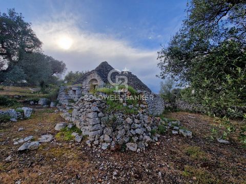 PUGLIA . CISTERNINO TRULLI PANORAMIC VIEW Coldwell Banker Cisternino offers for Sale, exclusively, a complex of Trulli with three cones, in Cisternino in the heart of the Itria Valley in Puglia. The ancient building is located in the Terrabona distri...