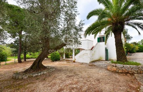 PUGLIA. OSTUNI VILLA WITH OLIVE GROVE Coldwell Banker offers for sale, exclusively, a charming two-level villa about 4 km from the center of Ostuni, in a quiet area where you can relax away from the chaos of the city. The property consists of two ind...
