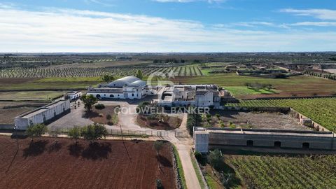 COPERTINO - LECCE - SALENTO A few kilometres from the centre of Copertino, immersed in about 30 hectares of land, stands an ancient agricultural property consisting of a wine-making cellar and an old masseria dating back to the mid-1800s. With a very...