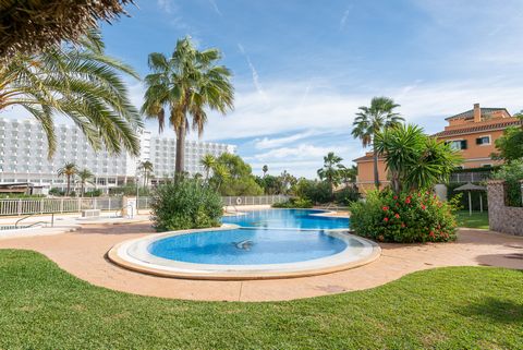 Enjoy a magnificent holiday by the sea in this flat in the area of Cales de Mallorca. It has a large private patio with barbecue, communal swimming pool and jacuzzi and can accommodate up to 4 people. The flat is located in a nice urbanization with b...