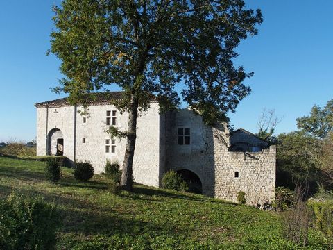 Between the hills and valleys of Tarn-et-Garonne, 15 minutes from Lauzerte, 30 minutes from Moissac and 1 hour 20 minutes from Toulouse, we present to you this extraordinary estate. A castle whose oldest parts date from 1180, a mansion currently bein...