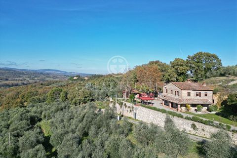 On the green Tuscan hills in the municipality of Cetona, in the countryside south of Siena, on the border with Umbria and Lazio, an area dedicated to the cultivation of vineyards and olive groves due to its excellent altitude and favorable climate, s...