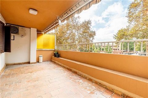 Palm. Valldemossa Road Area. Spacious apartment of approximately 150m2 plus terraces. It consists of a spacious living room with access to the terrace, fitted kitchen with office, 4 bedrooms, fitted wardrobes, 2 bathrooms, stoneware floors, heating, ...