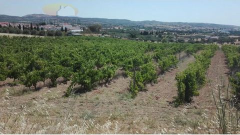 Cette propriété de 1,58 ha, dans un ensemble de 4 bâtiments rustiques contigus, est située dans le paroisse de Vila de Frades, à Vidigueira, terres de vignes et de bon vin. La terre est un petit exemple de l’image de la région, avec la pleine exploit...