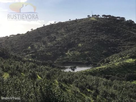 Herdade do Vale Encantado, Property with about 364 ha a few minutes from the village of Portel, with excellent access, with several water lines, 3 dams, 6 ponds, arable culture of dryland, mixed montado, of cork oak with 3,000 arrobas of cork with 10...