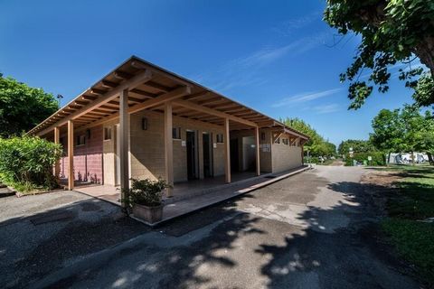 Well-kept caravan park directly on Lake Garda, in a quiet, picturesque location surrounded by greenery. The complex has direct access to the small, private grassy beach - here you can also rent loungers and parasols. Your holiday resort Castelnuovo d...