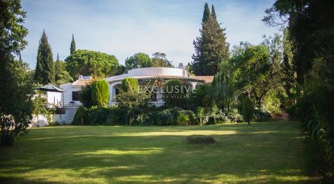Située en Algarve, cette charmante villa avec trois chambres spacieuses offre un parfait mélange de confort. En entrant dans la maison, vous pouvez passer du petit hall à la cuisine avec un patio extérieur. Une autre porte nous amène aux toilettes ou...