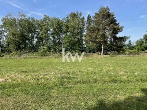 Welcome to this true hidden paradise in the north of the Indre, where the essence of peaceful living meets the proximity of captivating destinations. A rare opportunity presents itself to you: a magnificent building plot of 900m2, ready to accommodat...