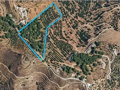 Marvelous rural plot in the Cantalobos area, just above the town of Almuñécar (Granada). The plot has 18,000 square metres with spectacular views down the valley to the town of Almuñécar and the Mediterranean sea. There are some wonderful pine trees,...