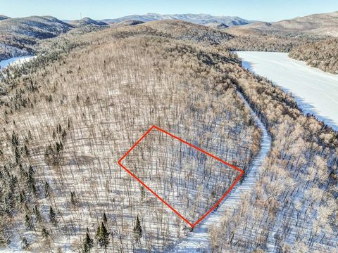Magnificent wooded land in the heart of the Laurentians, located in the Domaine PORT D'ATTACHE, just at 20 minutes from the north side of the Mont-Tremblant Station and 15 minutes from the Mont Blanc ski resort. Public access to Lac Quenouille. Close...