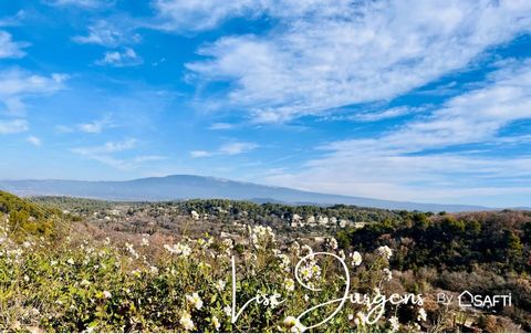 Located in La Roque-sur-Pernes, a village renowned for its authentic charm and Provencal atmosphere, this spacious artist's house benefits from a dominant position offering majestic views of Mont Ventoux and the valley. Close to L'Isle-sur-la-Sorgue,...