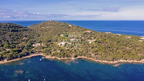 Located 35 minutes from Ajaccio airport, on one of Corsica's most prestigious peninsulas, this 3,000 m² property is away from the crowds and just a few meters from the sea and a wild, unspoilt coastline. It offers superb sea views. A peninsula away f...