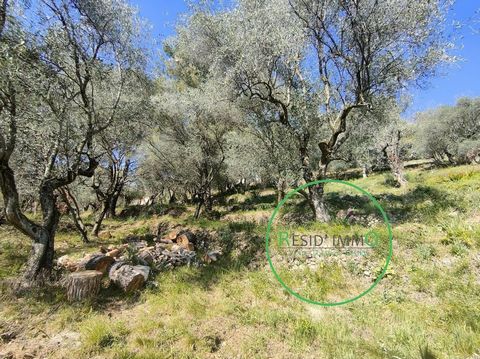 In the most peaceful area of St Martin du Var, beautiful sunny land of 1028m2 in terraces fully serviced (water, electricity, telecom), mains drainage, CES 15%. The land has a beautiful unobstructed view not overlooked. Free choice of manufacturer. T...
