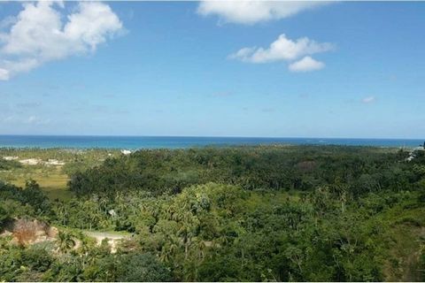 We present this spectacular located at the exit of Las Terrenas in the Ceiba sector, which is in the mountain which gives you beautiful views of the sea and also the green areas of the region. The plot has its title deed and is duly demarcated.