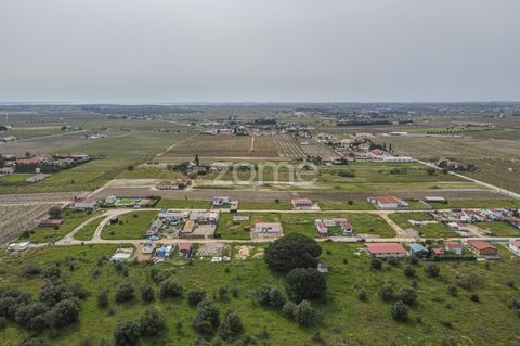 Identificação do imóvel: ZMPT568633 Rua da Escola no Lau, Palmela. 393 Avos. ( 393 m2) A Quinta com 60 000m2 conta com água e luz. Nas imediações e a menos de 10 minutos podemos encontrar: - Estação Ferroviária; - Centro de Palmela; - Hipermercados; ...