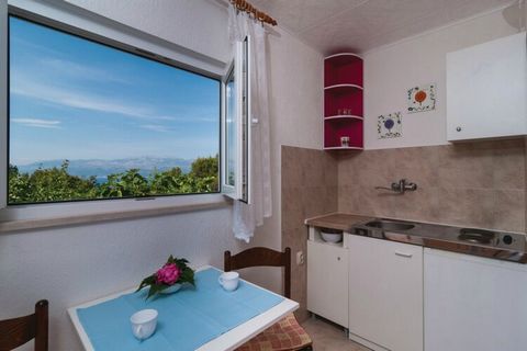 Holiday home Blossom is located in Supetar, on Island Brač. Property offers private pool, jacuzzi , spacious garden and barbecue facilities. Luggage storage before and after check out are available. Free private parking is available. Pets are not all...