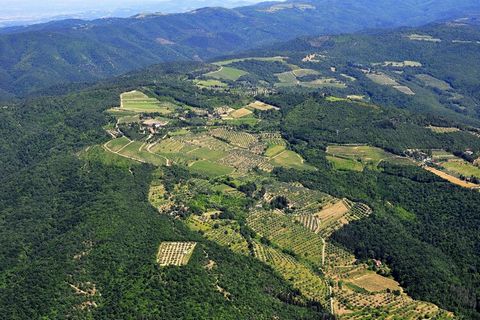 Set on a panoramic point overlooking the Valdichiana, this farmhouse in Campriano has 1 bedroom. It can accommodate a small family, 2 couples, or a group of 4 people. A shared swimming pool is available for those who wish to take refreshing dips on h...