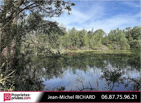 Jean-Michel RICHARD biedt u deze hoek van het paradijs in de buurt van Romorantin. Vijver - Natuur - Bos - Hout - Ontspanning Verkoopprijs: 28990 euro ***** Om te ontdekken, zeer mooi recreatiegebied van 17000m² in de stad Gièvres (41130) aan de rand...