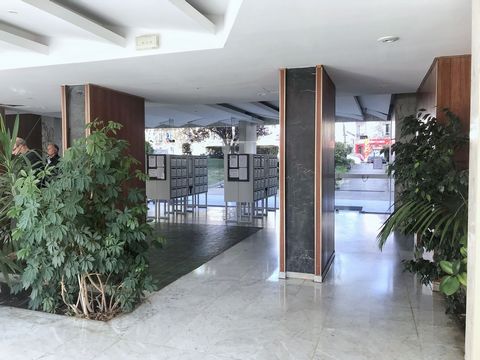 photo no. 4