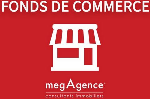 FONDS DE COMMERCE TOILETTAGE CANIN A SAINT MALO