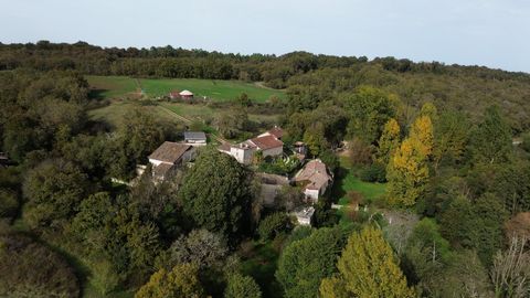 photo no. 2