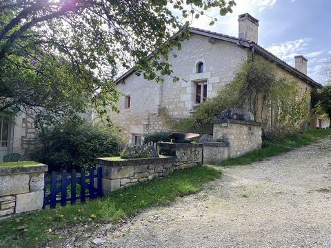 photo no. 6