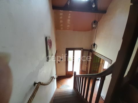 photo no. 2