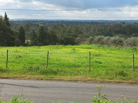 Wil je het weten? Wij presenteren u dit rustieke land, in het rustige dorpje Póvoa da Isenta, in Santarém Met ongeveer 6840 m2 onderscheidt het land zich door zijn uitstekende ligging, op 5 minuten rijden van de toegang tot de A1 en op 8 km van Santa...