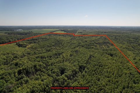 Tract 2 consists of 260 Acres mixed timber and CRP. This tract includes a portion of Little Muddy creek, access off of Mint Lane, established foot plot locations, and great hunting habitat for deer, turkey, and waterfowl. Property lines are approxima...