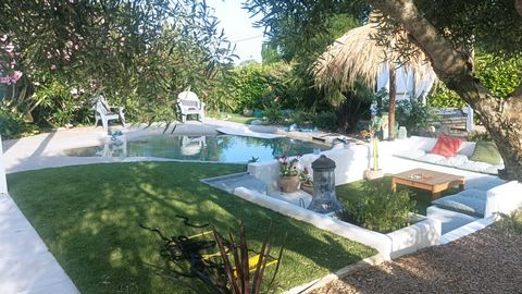photo no. 12